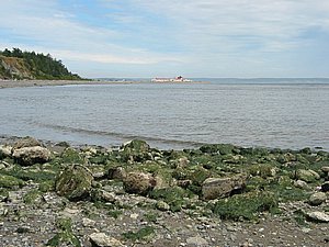 R126-2697_IMG.JPG