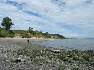 R126-2699_IMG.JPG