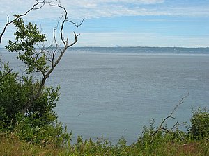 R127-2708_IMG.JPG